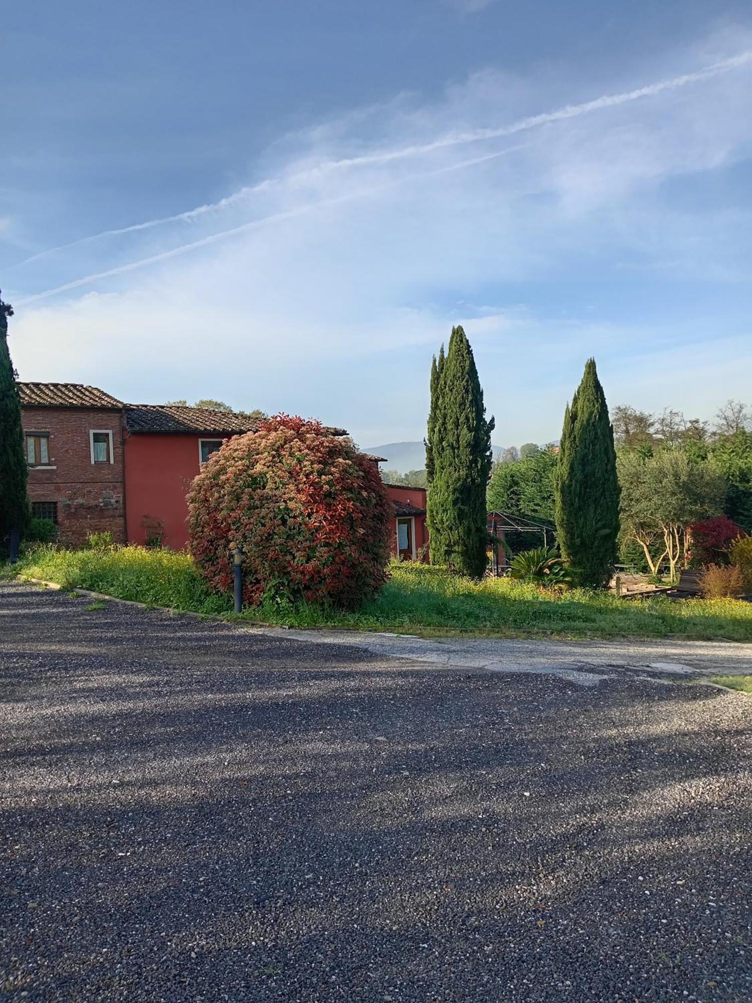 Al Sangallo Agriturismo Montecarlo Exterior foto